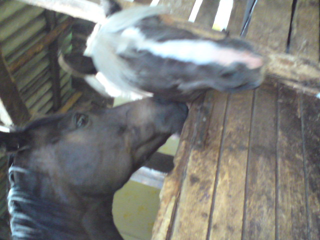 DSC00588.JPG
