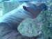 DSC00488.JPG